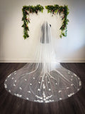 Veil 1